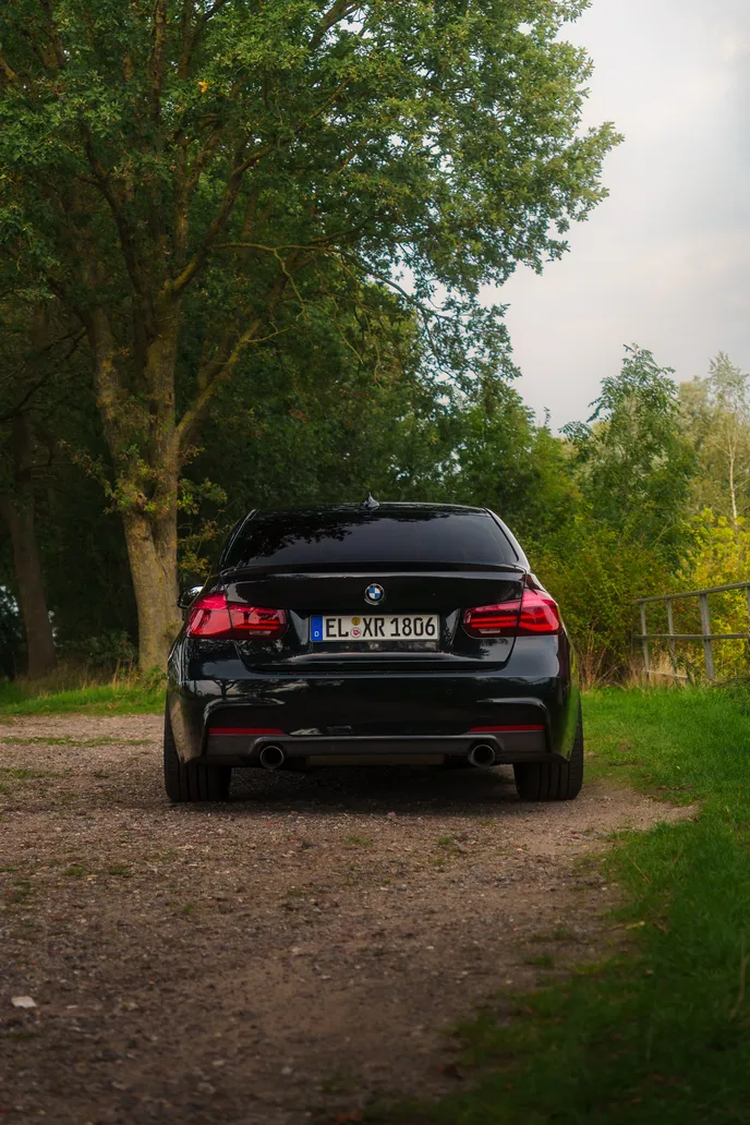 Black BMW F30 rear view on a tree-lined path