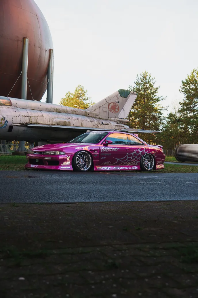 Pinker Silvia unter MiG-Jet und Kugeltank, Hochformat